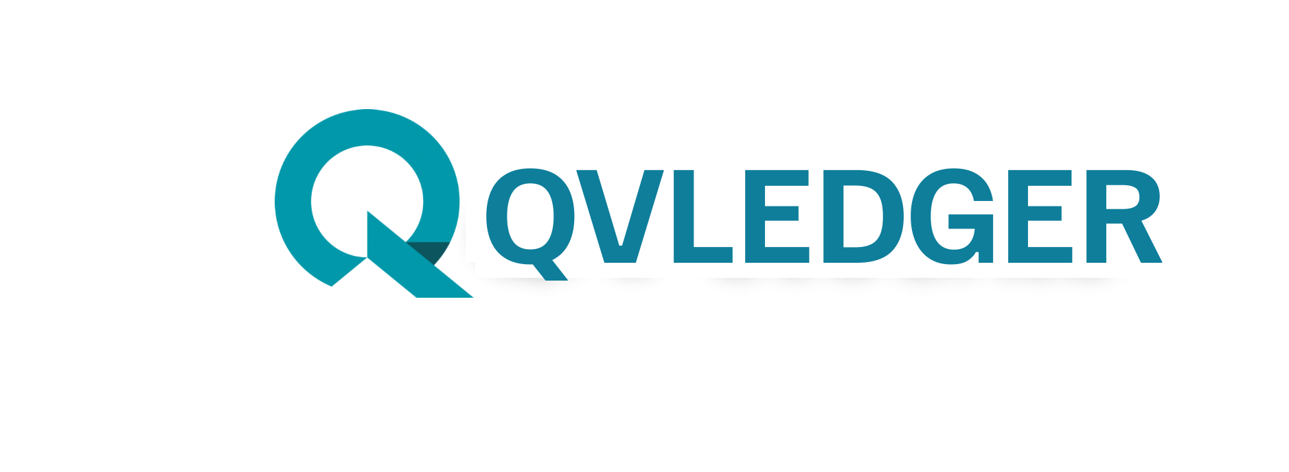 QFS VAULT LEDGER Logo